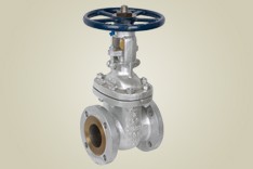 Gate Valve