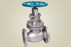 Globe Valve